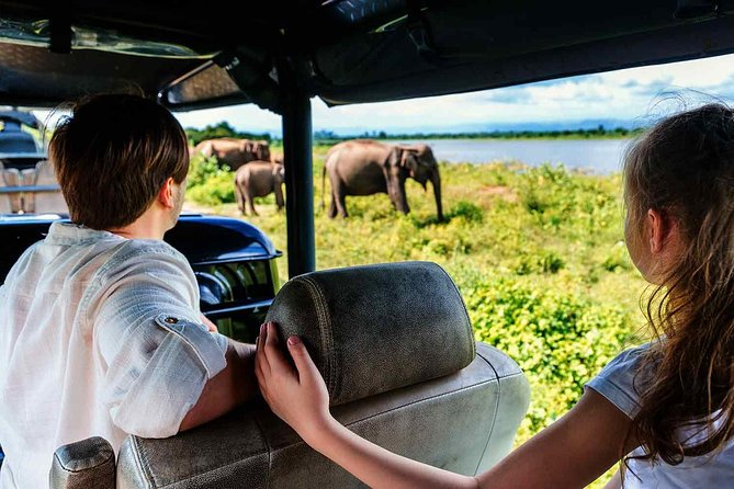 Udawalawe National Park Safari with Elephant Transit Home Visit - Should you book the Udawalawe safari?