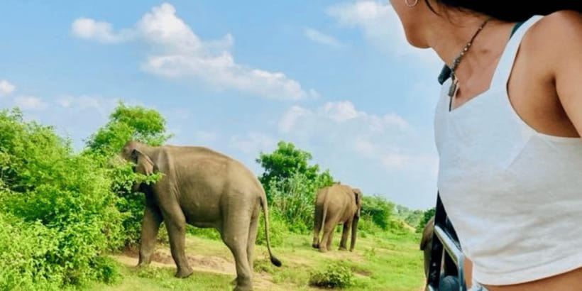 Udawalawe National Park: Safari with Experienced Driver - The 15-minute ride from Hotel Niwahana