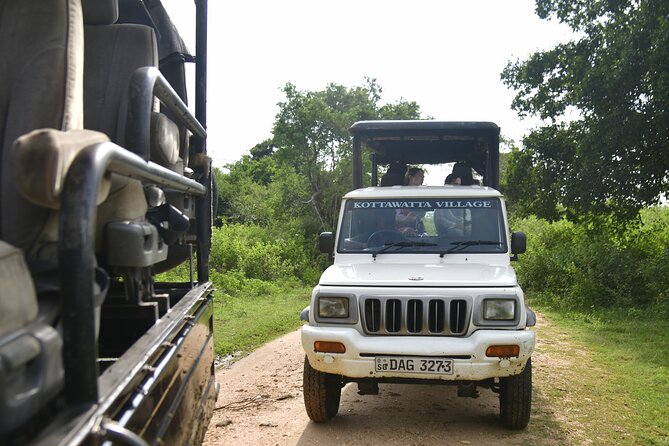 Udawalawe National Park Wildlife Safari Tours - Is $40 a fair price?