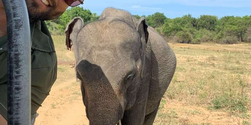 Udawalawe National park with Safari jeep & Entrance ticket - Key points at a glance
