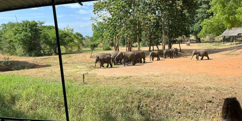 Udawalawe National park with Safari jeep & Entrance ticket - Entering Udawalawe National Park