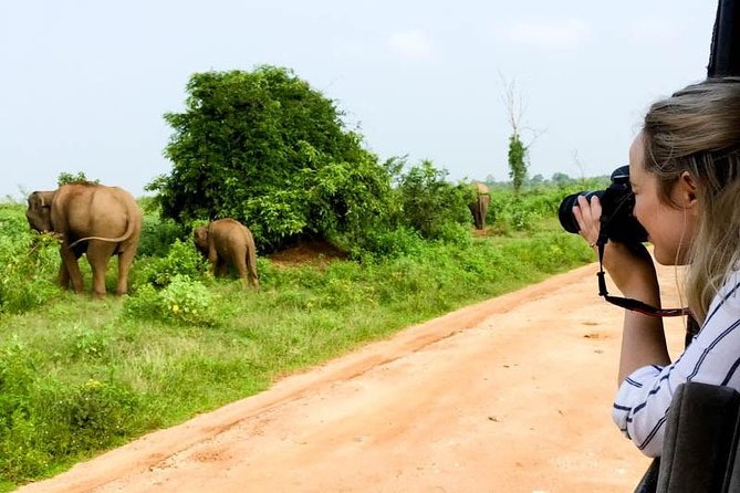Udawalawe Private Safari frm Hambantota Port by BTM-All Inclusive - The Wildlife You May See