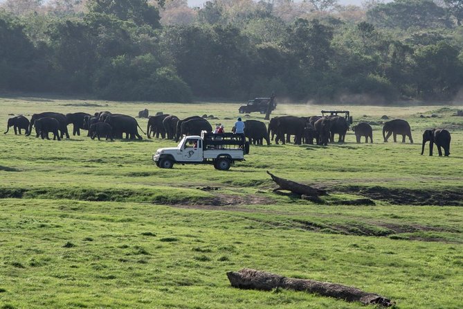 Udawalawe Private Safari frm Hambantota Port by BTM-All Inclusive - The Value of a Private Jeep and Private Transfer