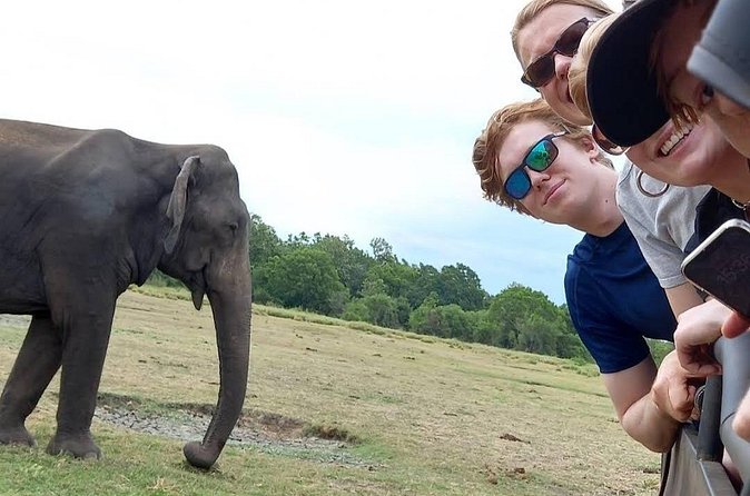 Udawalawe Safari Adventure - Booking details worth checking