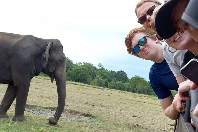 Udawalawe Safari Adventure - Three hours among elephants and open grassland