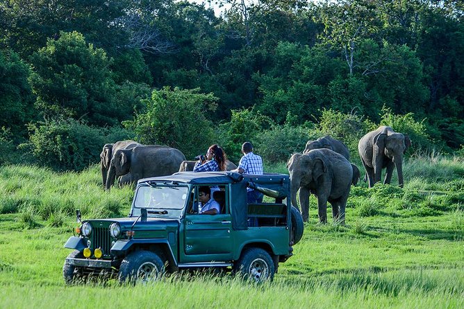 Udawalawe Safari Day Trip from South Region & Transfer to Ella - Key points before you book