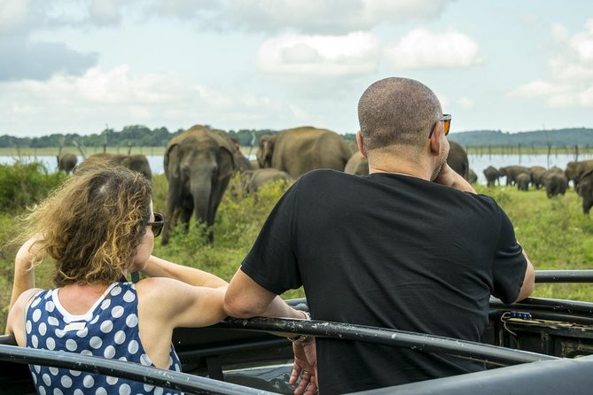 Udawalawe Safari Day Trip from South Region & Transfer to Ella - Starting from the south coast or a cruise port