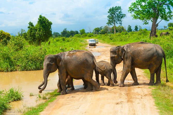 Udawalawe Safari Private Day Tour Kaluthara/Beruwala/Bentota/Kosgoda/Ahungalla - Is $220.20 per person fair value?