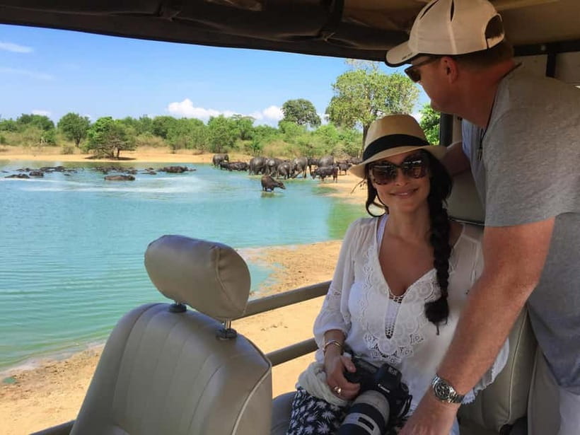 Udawalawe Safari Private Day Trip with Lunch - All Inclusive - What the $110 price really buys you