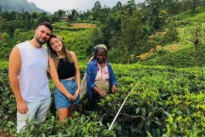 Ultimate 8-Day Sri Lanka Adventure: Private Guided Tour - Five things to know before booking
