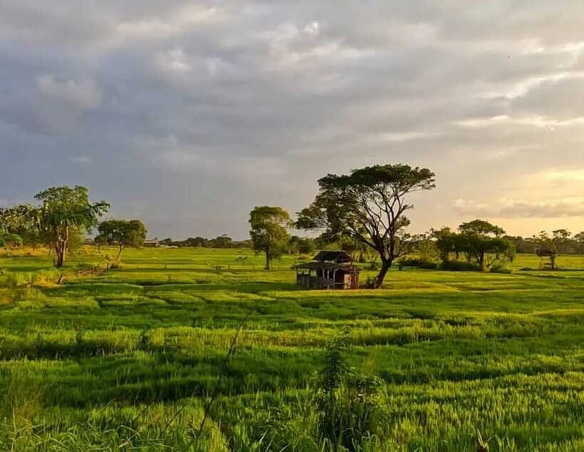 Unseen Sigiriya: Village & Rock Viewpoints by Tuk Tuk - Eight viewpoints, two famous rocks