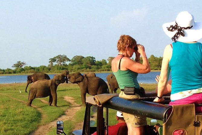 VALUE PACK! One Day Safari Tour to Yala and Udawalawa Parks - Starting from Bentota: a very early and very long day