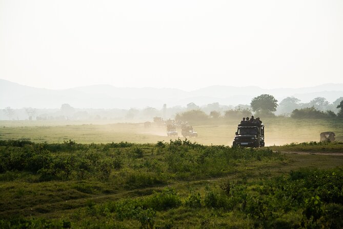 VALUE PACK! One Day Safari Tour to Yala and Udawalawa Parks - Udawalawe National Park: shorter drive, better elephant odds