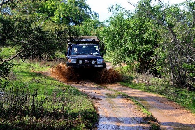 VALUE PACK! One Day Safari Tour to Yala and Udawalawa Parks - The Elephant Transit Home adds a worthwhile final stop