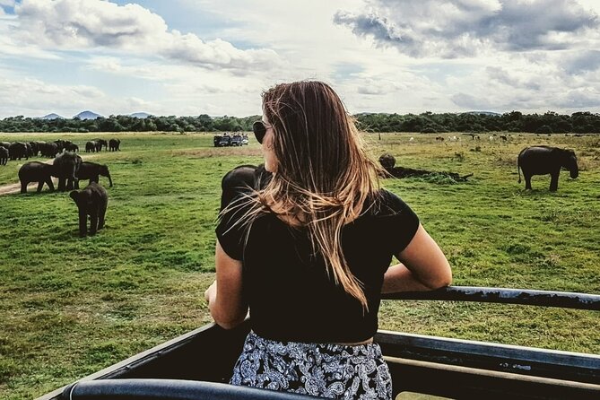 VALUE PACK! One Day Safari Tour to Yala and Udawalawa Parks - The guide can make or break the safari
