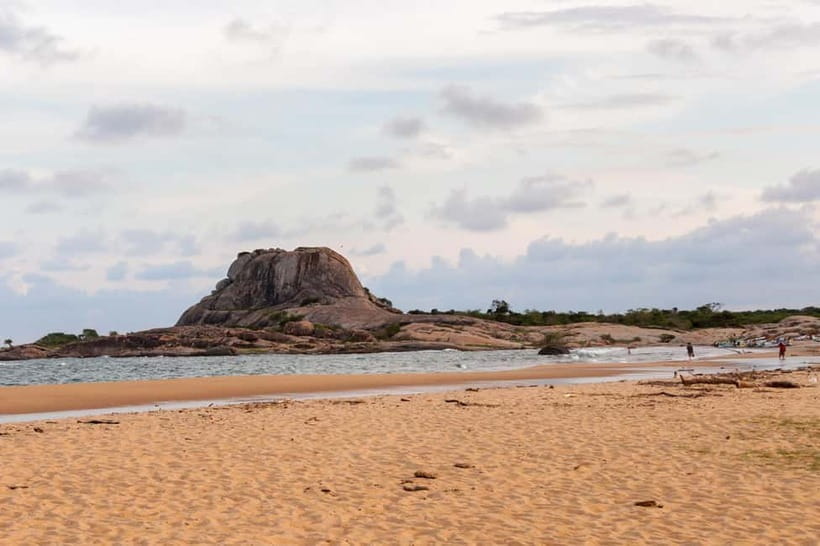 Value Tour: One Day Safari Trip to Yala & Udawalawe w/ Lunch - Lunch gives the day a needed pause