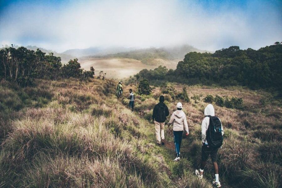 Visit Horton plains and Nuwara Eliya from Ella - My verdict: choose it for Horton Plains