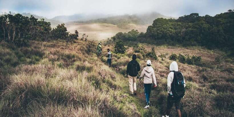 Visit Horton plains and Nuwara Eliya from Ella - The tea visit needs the right expectations