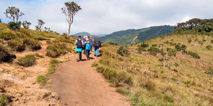 Visit Horton plains and Nuwara Eliya from Kandy - Why this Kandy day trip works