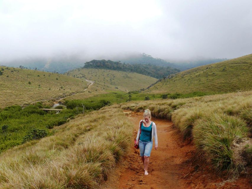 Visit Horton plains and Nuwara Eliya from Kandy - What the $70 covers, and what it does not