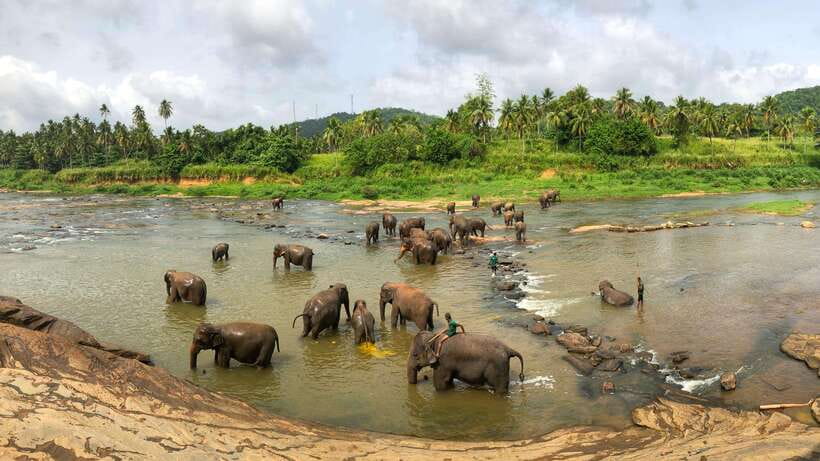 Visit sri Lanka 7 Days Round Trip - The guide makes or breaks this road trip