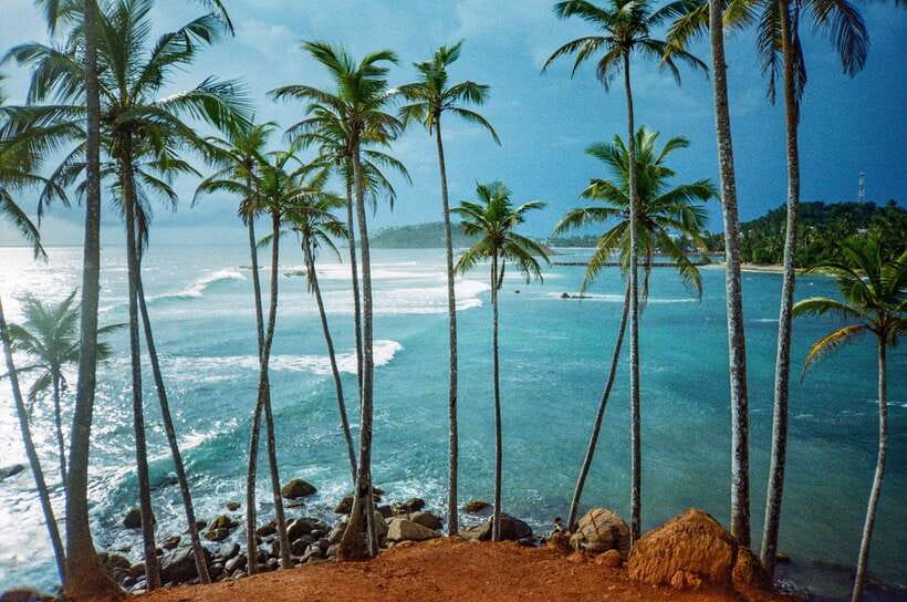 Visit sri Lanka 7 Days Round Trip - Day 5: Yala National Park and the move to the south coast
