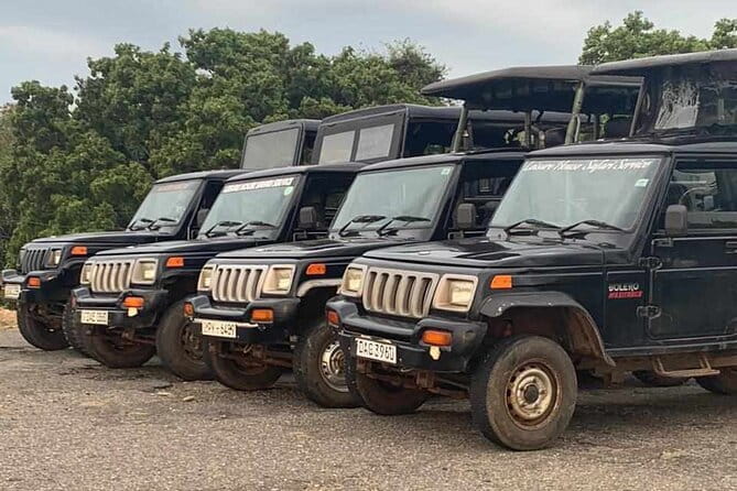 Walawe Palm Safari Udawalawe - Why Udawalawe is a strong safari choice