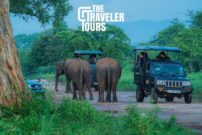 Walawe Palm Safari Udawalawe - How the tour works for different kinds of visitors