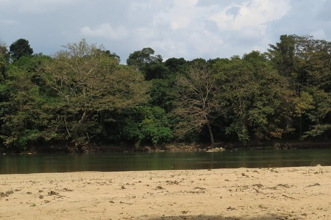 Wasgamuwa National Park Safari from Kandy - A Private 10-Hour Day From Kandy