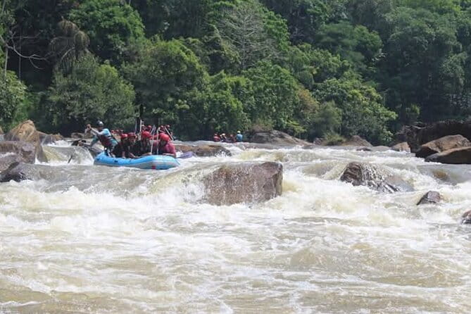 Wasgamuwa National Park Safari from Kandy - Practical Details Before You Book