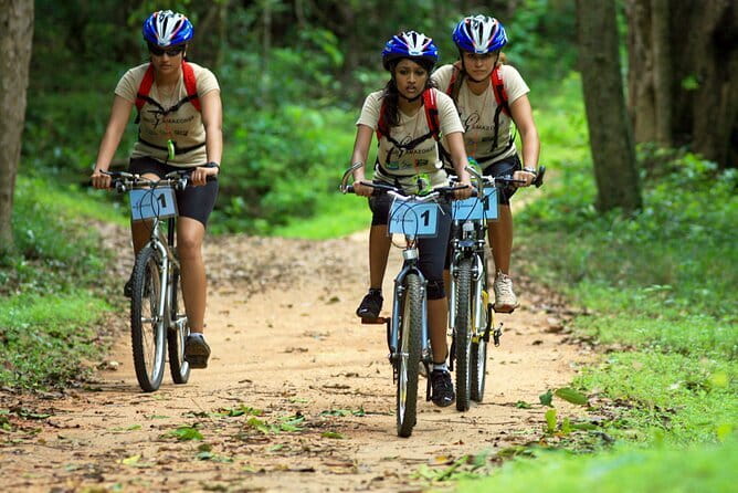 Wasgamuwa National Park Safari from Kandy - How Wasgamuwa Compares as a Safari Choice