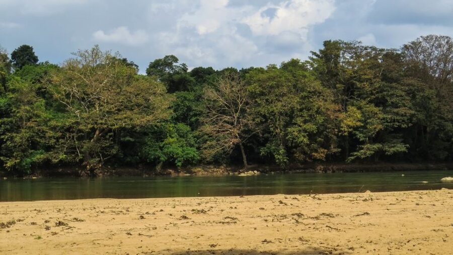 Wasgamuwa: Wasgamuwa National Park Private 3-Hour Safari - The private jeep changes the value