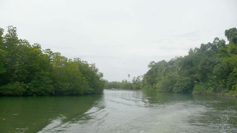 West coast Beach, River Mangroves lagoon, Wildlife boat Tour - Is $90 good value for this full-day route?