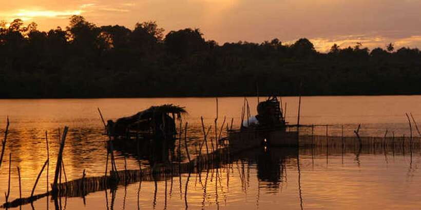 West coast Beach, River Mangroves lagoon, Wildlife boat Tour - Who will enjoy this tour most?