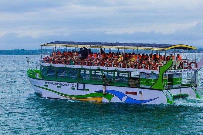 Whale & Dolphin Watching Day Tour including Handunugoda Teafactory - Four hours on the water near Mirissa