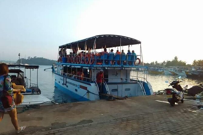 Whale Watching Experience in Mirissa - The main risk: nature keeps the schedule