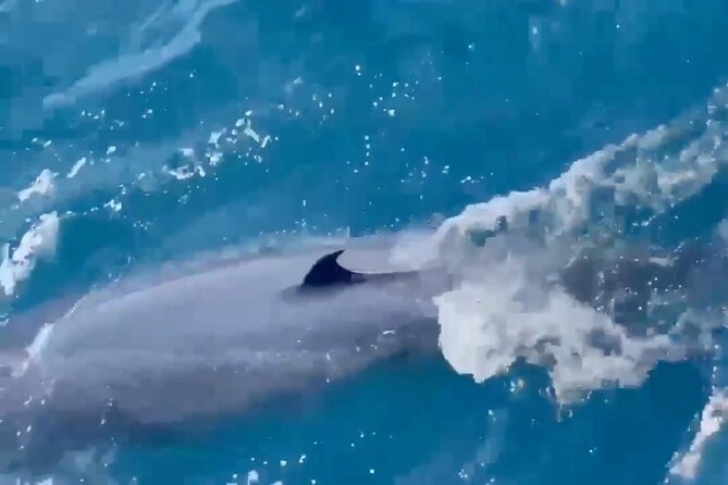 Whale Watching Mirissa Ultimate Tour in Sri Lanka with Breakfast - Breakfast, fruit, and the small comforts