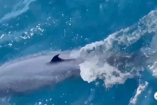 Whale Watching Mirissa Ultimate Tour in Sri Lanka with Breakfast - Rough water and the reality of the ocean