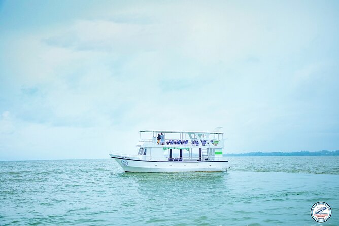 Whale Watching Mirissa Ultimate Tour in Sri Lanka with Breakfast - Is $44 good value for this Mirissa cruise?