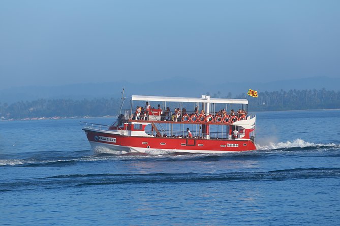 Whale Watching Mirissa with Eagle Eye - The four-hour promise and the real time commitment