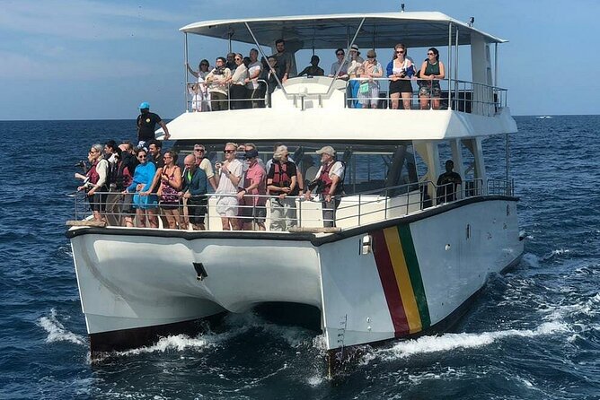 Whale Watching Mirissa with ( WWC ) - Captain Manoj and the search for marine life