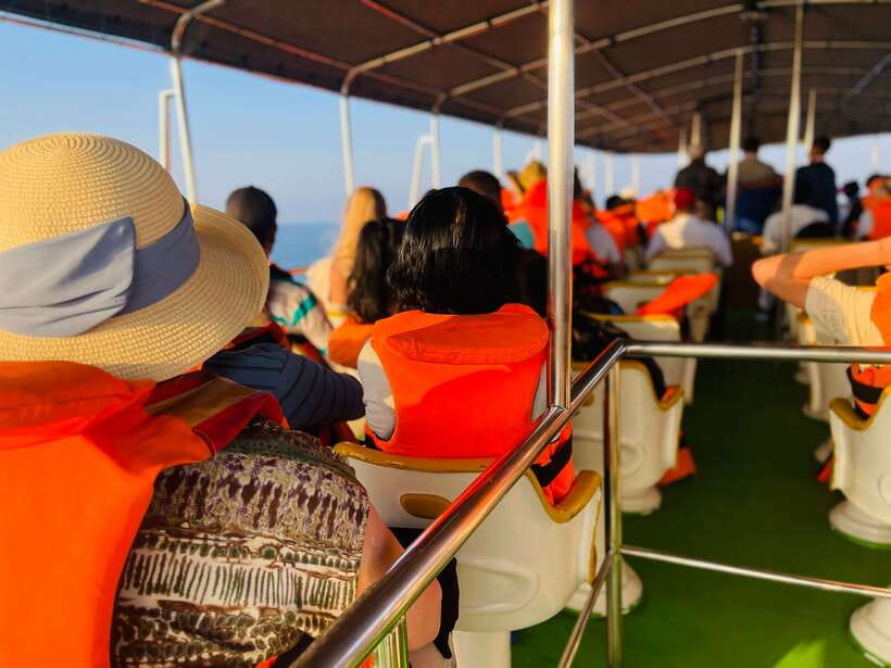 Whale Watching Tour with Transfers - Leaving the west coast before sunrise