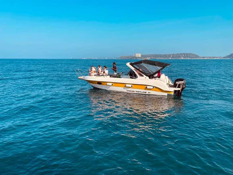 Whale Watching Tour with Transfers - The naturalist adds meaning to the search