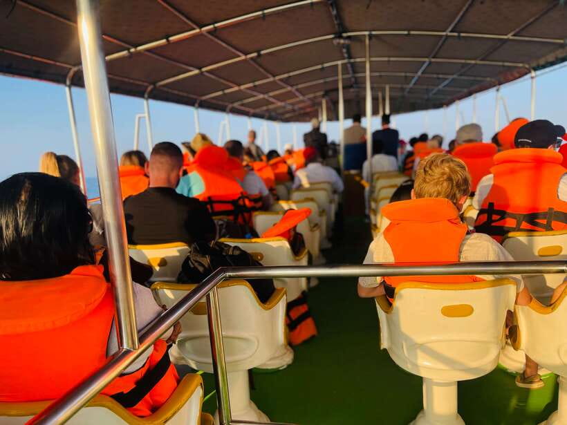 Whale Watching Tour with Transfers - Who will enjoy this day most?