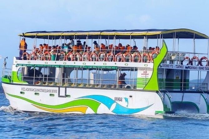 Whales and Dolphins Watching-Luxury Super Grade Cruiser(Hotel Pick up offered) - Key points to know before you book