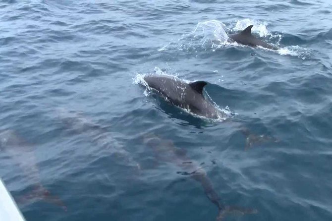 Whales and Dolphins Watching Mirissa - Walking through Galle Dutch Fort