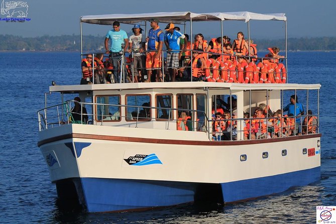 Whales and Dolphins Watching Mirissa - Price, extra fees, and the real value