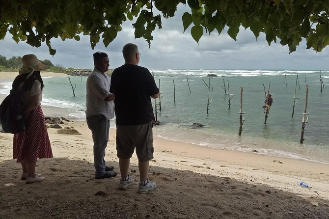 Whales Watching Mirissa Day Tour - Kosgoda Sea Turtle Conservation Project