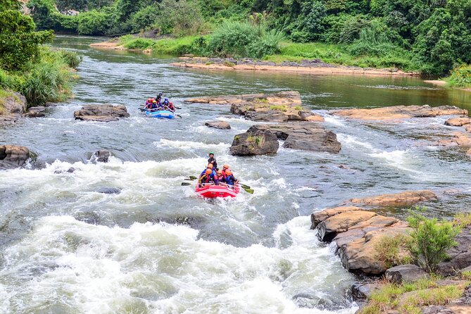 White Water Rafting Kitulgala - Learning the paddle strokes before the first rapid
