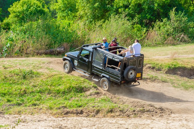 Wild Elephant Safari in Minneriya National Park - The Elephant Gathering from August through October